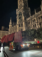 Ankunft des Christbaums aus aus Peiting gegen 5.45 Uhr auf dem Marienplatz (©Foto. Martin Schmitz)